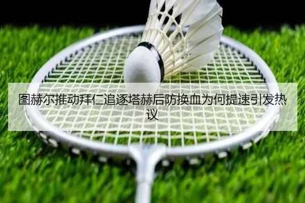 img_1780942107764_539_1_130.jpg